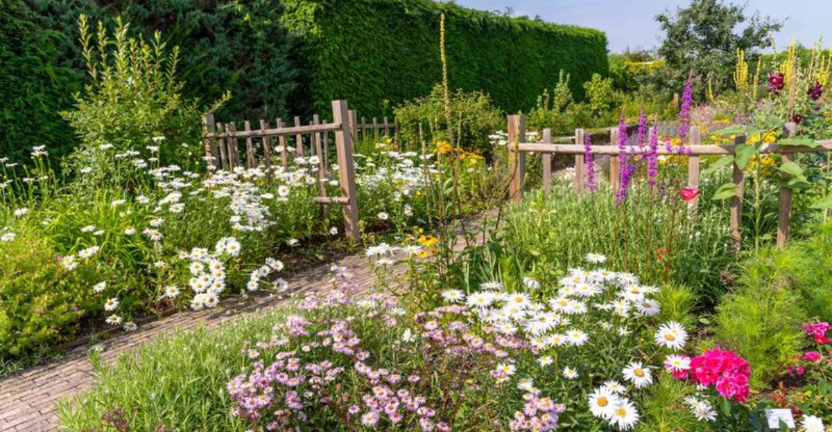 10 Steps To Create A Thriving Meadow Garden In Your Backyard inside Creating a Low Maintenance Sky Meadow That Thrives All Year Long