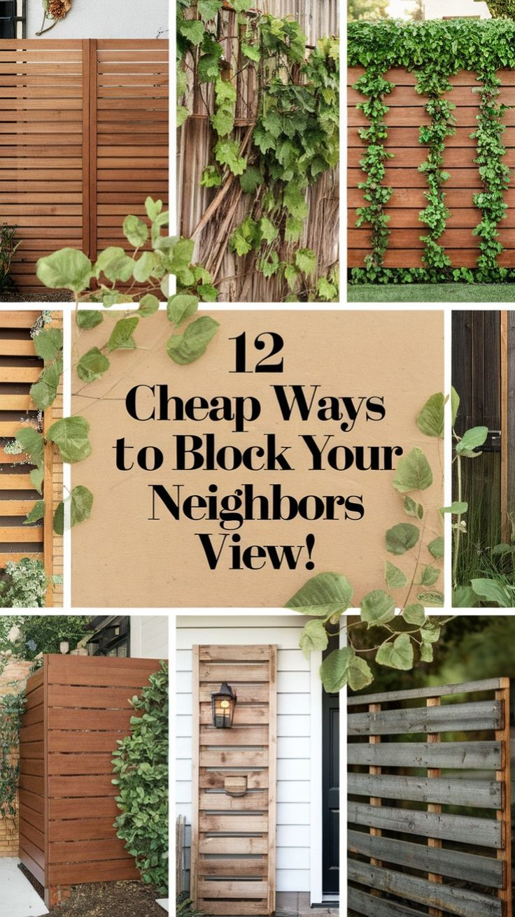 12 Cheap Ways To Block Neighbors View! | Diy Garden Fence, Diy Privacy ... with Simple ways to block neighbor views while keeping your space inviting
