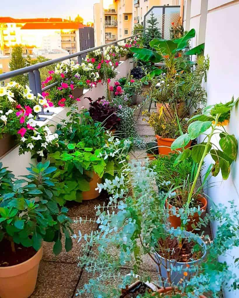 12 Container Garden Design Ideas For Any Space in Outdoor Container Garden Design