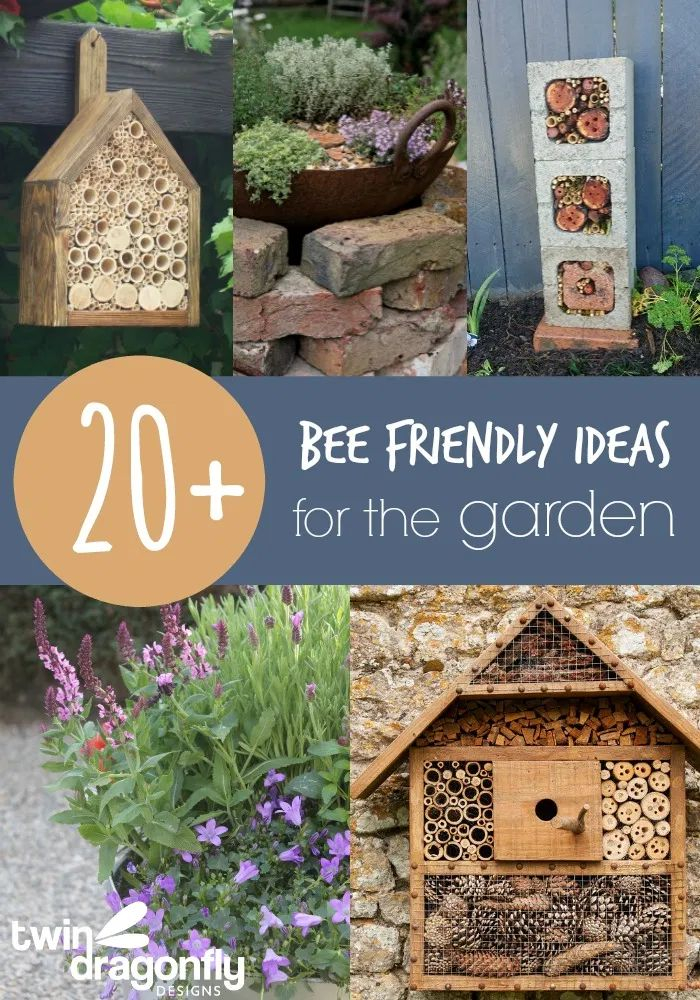 20+ Bee Friendly Ideas For The Garden | Bee Garden Design, Bee Friendly ... pertaining to Designing a Year Round Bee Haven with Native Plants for 2026