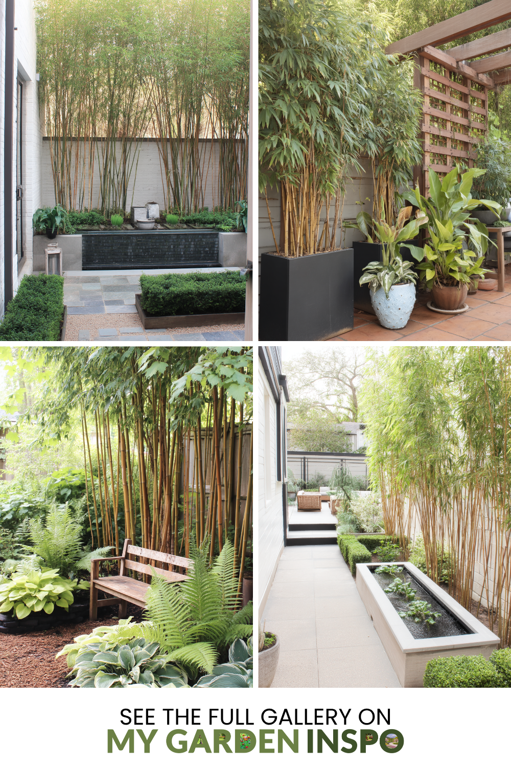 21 Bamboo Garden Ideas For Your Yard | Bamboo Garden, Bamboo In Pots ... with How to design a serene bamboo sanctuary without letting it take over your yard