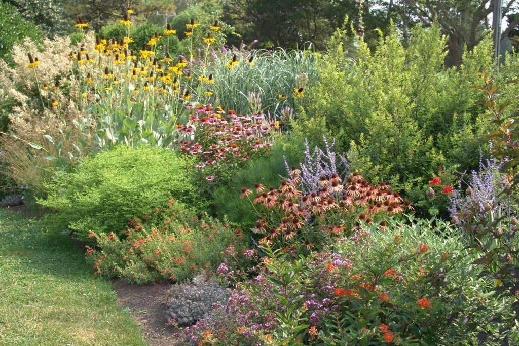 21 Native Plant Garden Design Ideas To Consider | Sharonsable within Transforming Your Yard into a Living Habitat with Layered Native Plants
