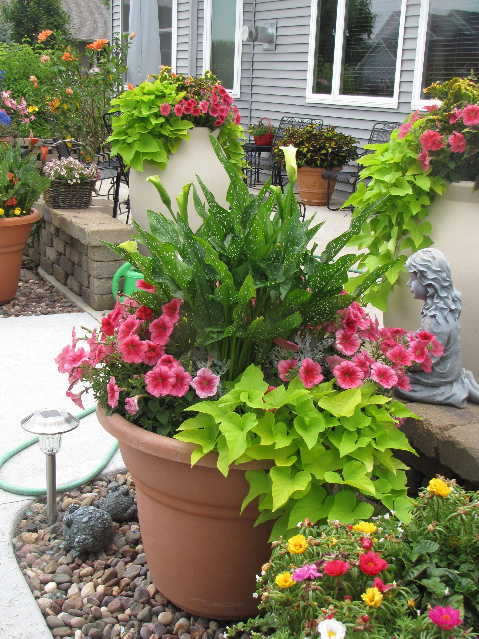 23 Best Shade Plants Container Garden Ideas Worth To Check | Sharonsable intended for The Art of Layering Plants for Stunning Container Gardens on Small Patios