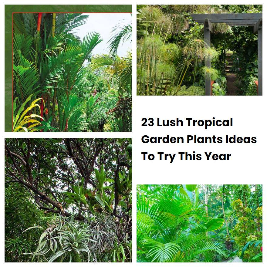 23 Lush Tropical Garden Plants Ideas To Try This Year | Sharonsable regarding Outdoor Tropical Garden Design