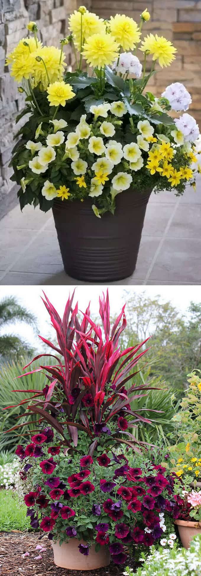 24 Stunning Container Garden Planting Designs - A Piece Of Rainbow regarding Outdoor Pot Design