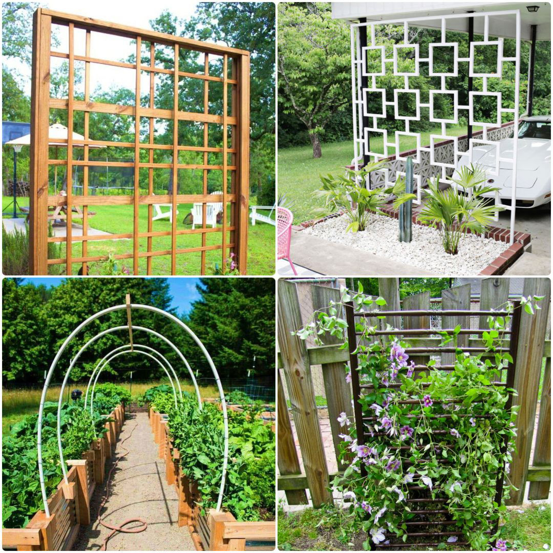 30 Diy Trellis Ideas For Your Garden intended for From Rustic Wood to Sleek Steel Choosing the Right Trellis Material for Your Climate