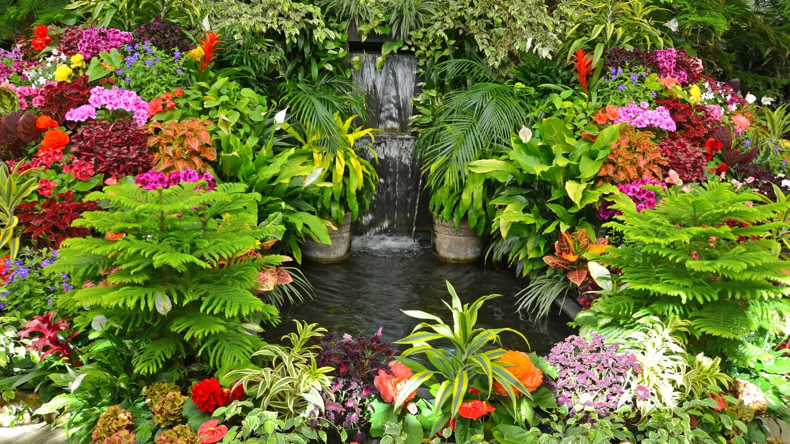 35 Flowers For A Lush, Tropical Garden inside Outdoor Tropical Garden Design