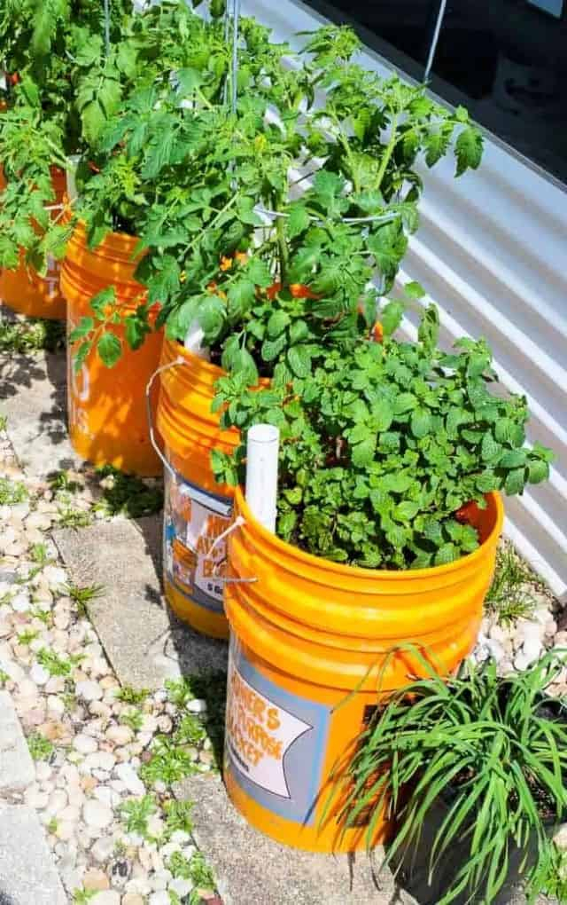 36 Beautiful Diy Planters You Can Make From Scratch - Solar Living Savvy inside The Art of Layering How to Build Professional Looking Planters from Scratch