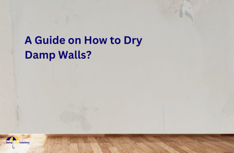 A Guide On How To Dry Damp Walls? Damp2Dry Solutions inside Vapor Barrier Design