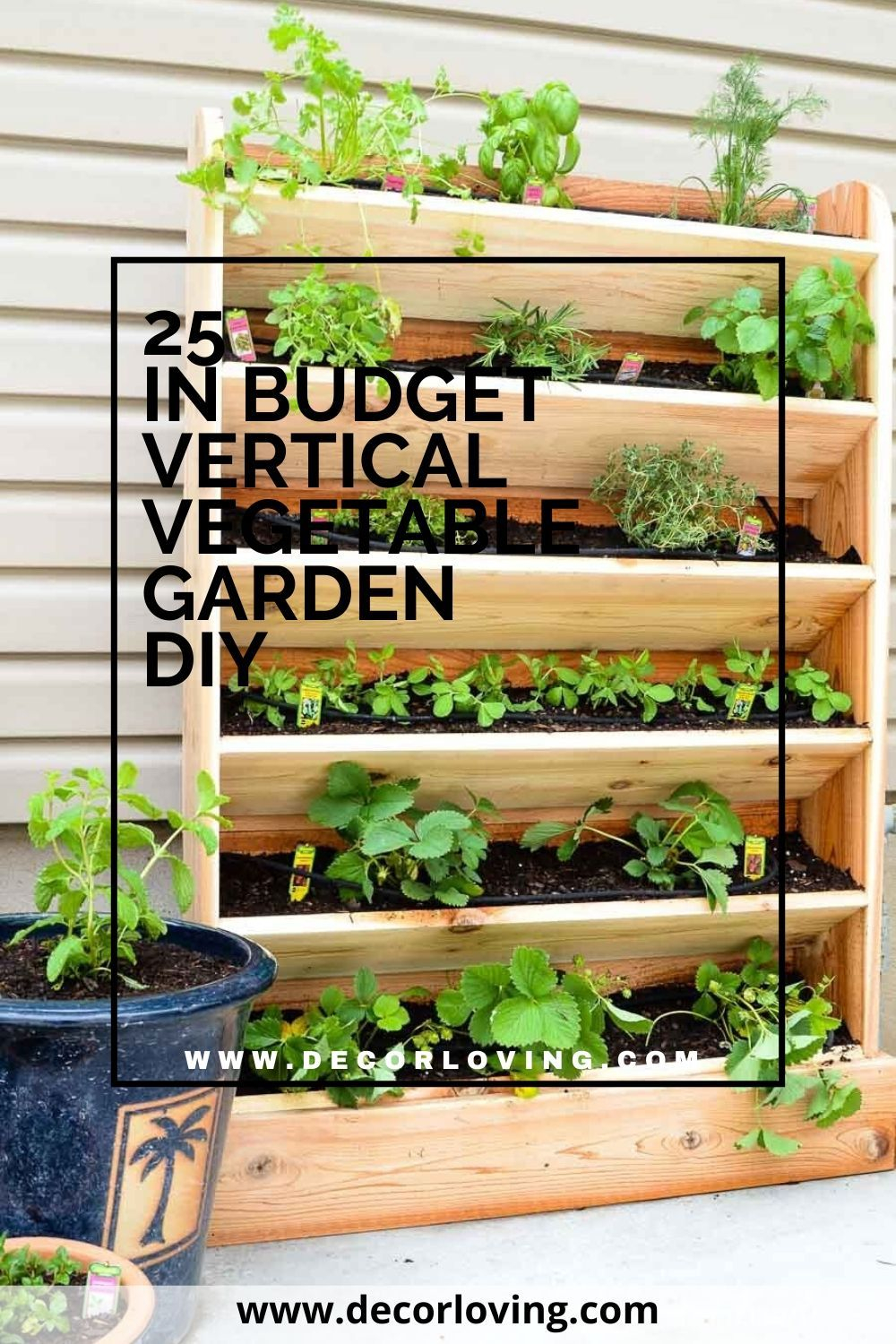 Budget Vegetable Garden At Luke Earsman Blog with The hidden costs of vertical gardens and how to budget for them in 2026