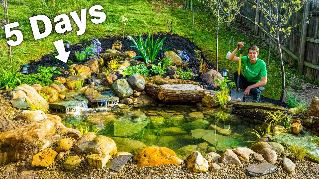 What I learned building three different ponds in my own yard