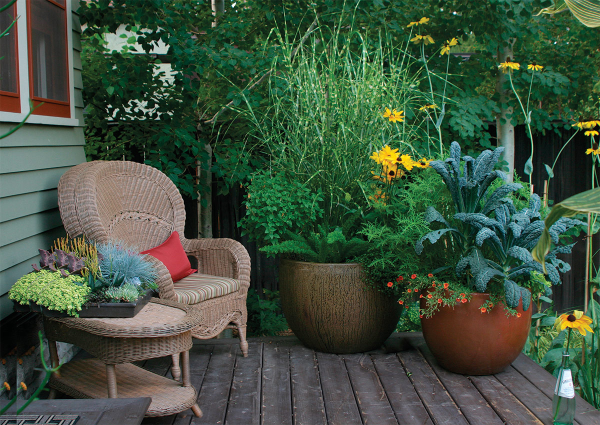 Container Garden Layout pertaining to How to Design Container Gardens That Thrive in Small Urban Spaces
