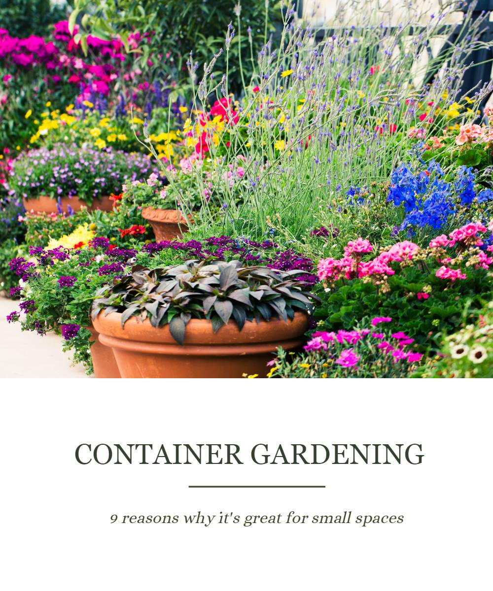Why Container Gardens Are the Heart of Modern Outdoor Living in 2026
