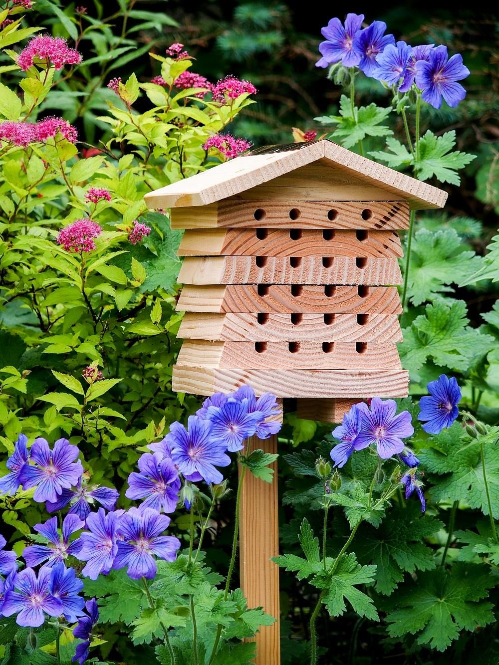 Diy Garden Bench Ideas - Free Plans For Outdoor Benches: Bee Garden Design intended for Outdoor Bee Garden Design
