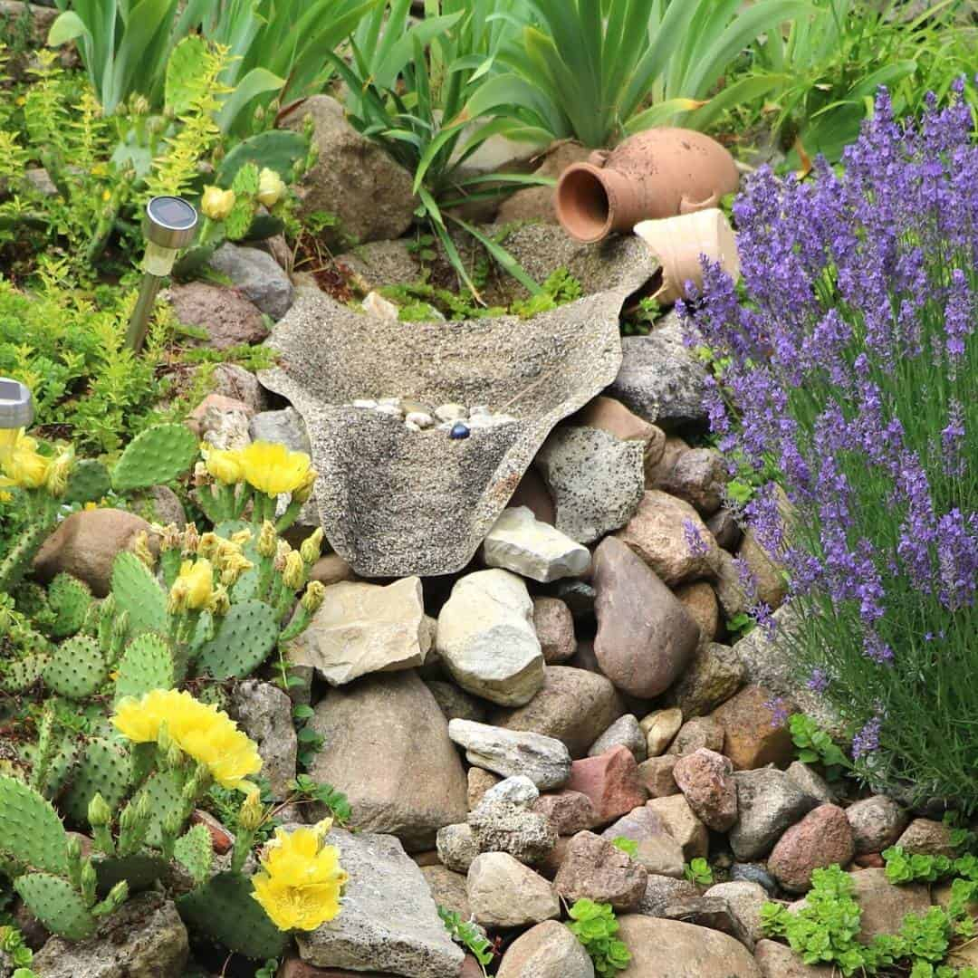 Easy Simple Rock Gardens 15 Rock Garden Ideas For Low Maintenance with How to Build a Low Maintenance Rock Garden on Any Budget This Year