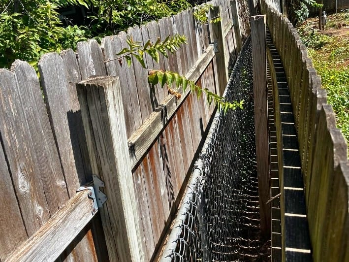 Fence Etiquette: Navigating Shared Fences With Neighbors - Fence Okc ... for Outdoor Fence Design