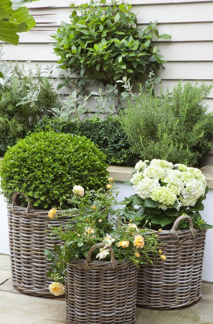 Garden Baskets | Garden Design, Garden Containers, Outdoor Gardens throughout Outdoor Basket Design