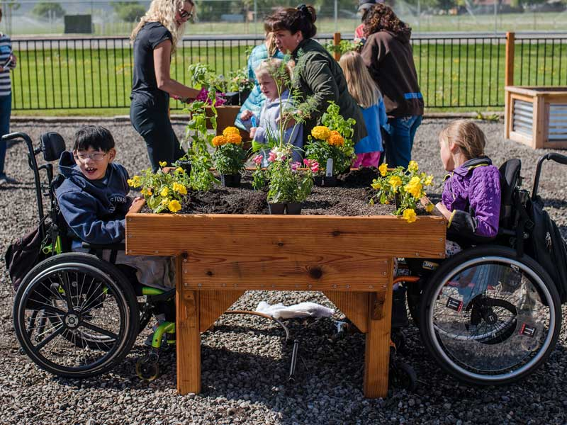 Gardening Made Easier For Everyone! – Accessible Gardens regarding Outdoor Raised Bed Design