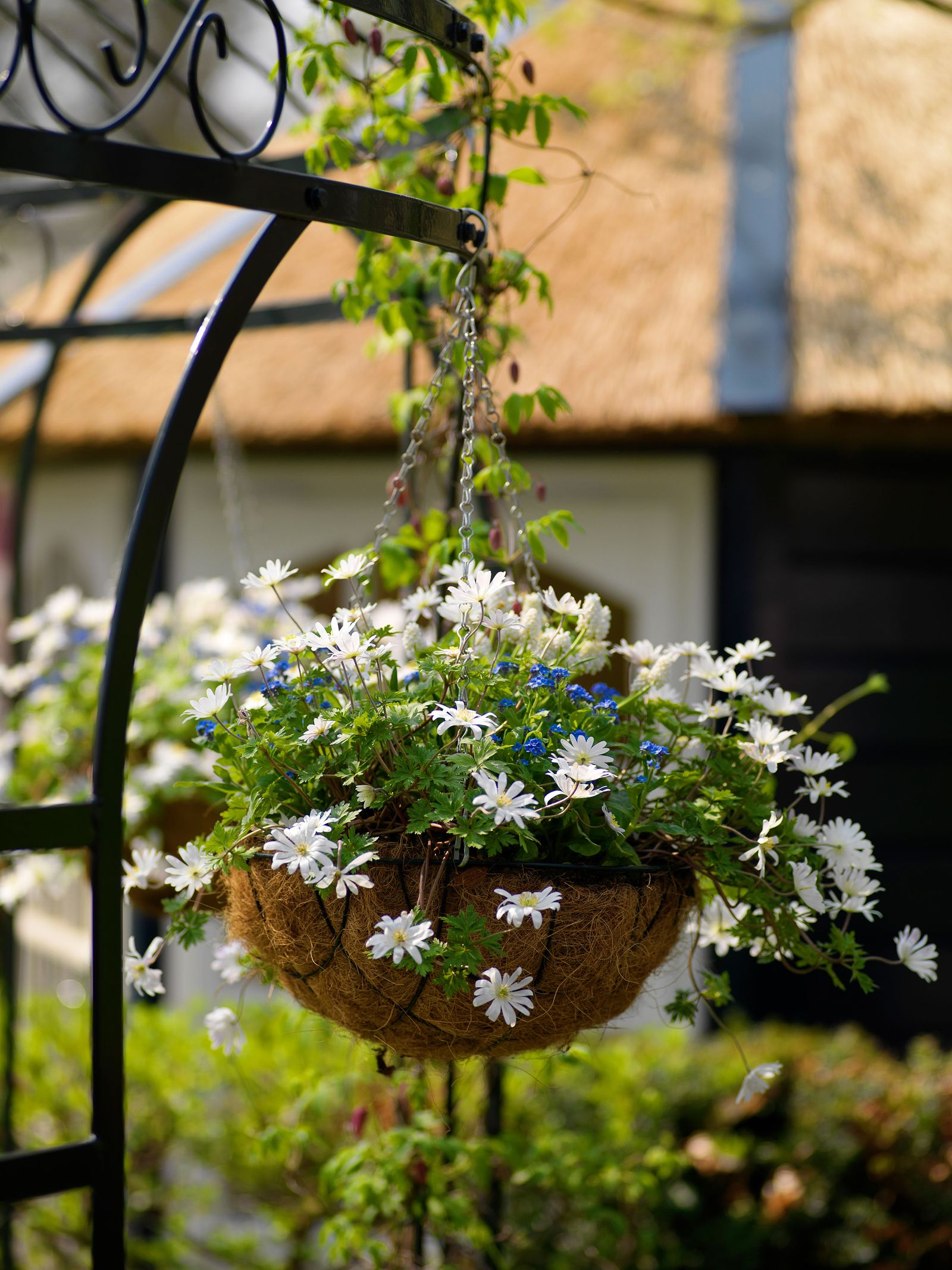Hanging Basket Ideas: 16 Designs To Make Yours Stand Out From The Crowd ... for What Professional Designers Know About Outdoor Storage That You Don&amp;#039;t