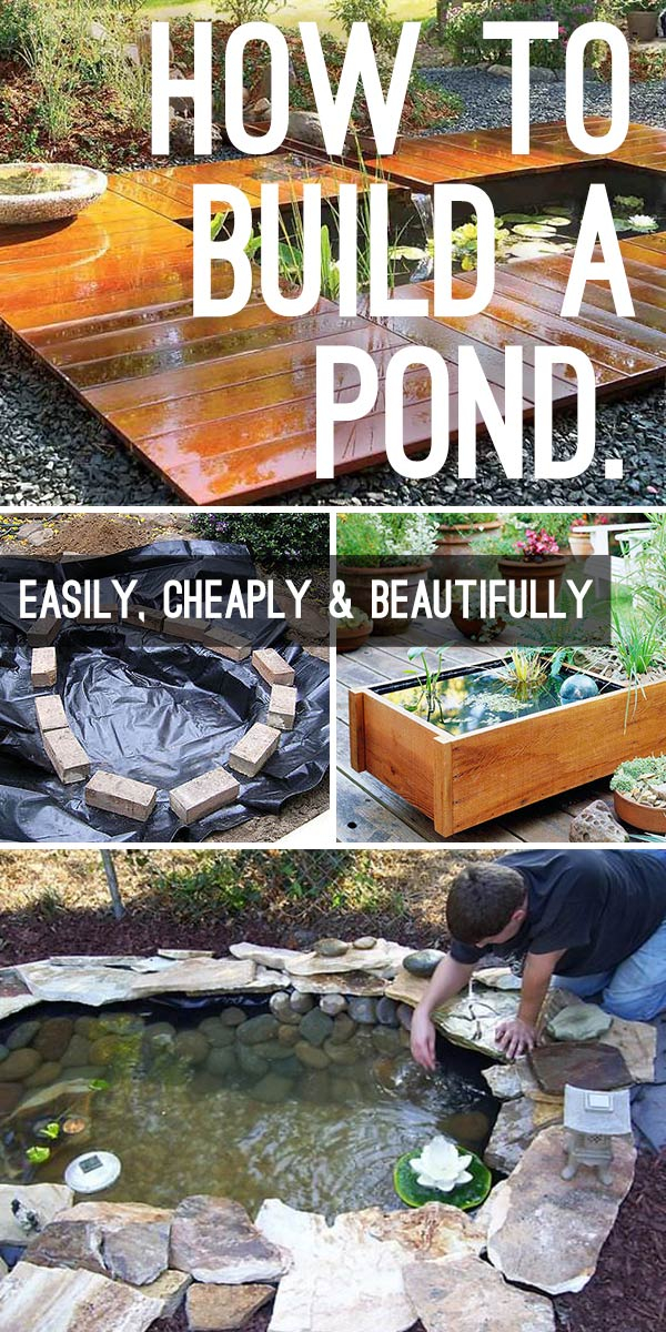 How To Build A Beautiful Diy Backyard Pond On A Budget • The Garden Glove intended for Pond Design
