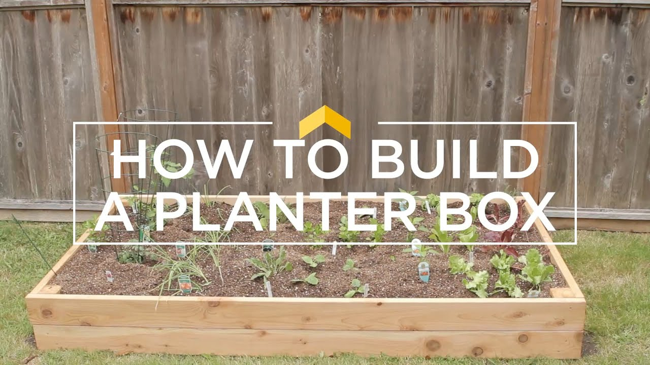 The Art of Layering How to Build Professional Looking Planters from Scratch
