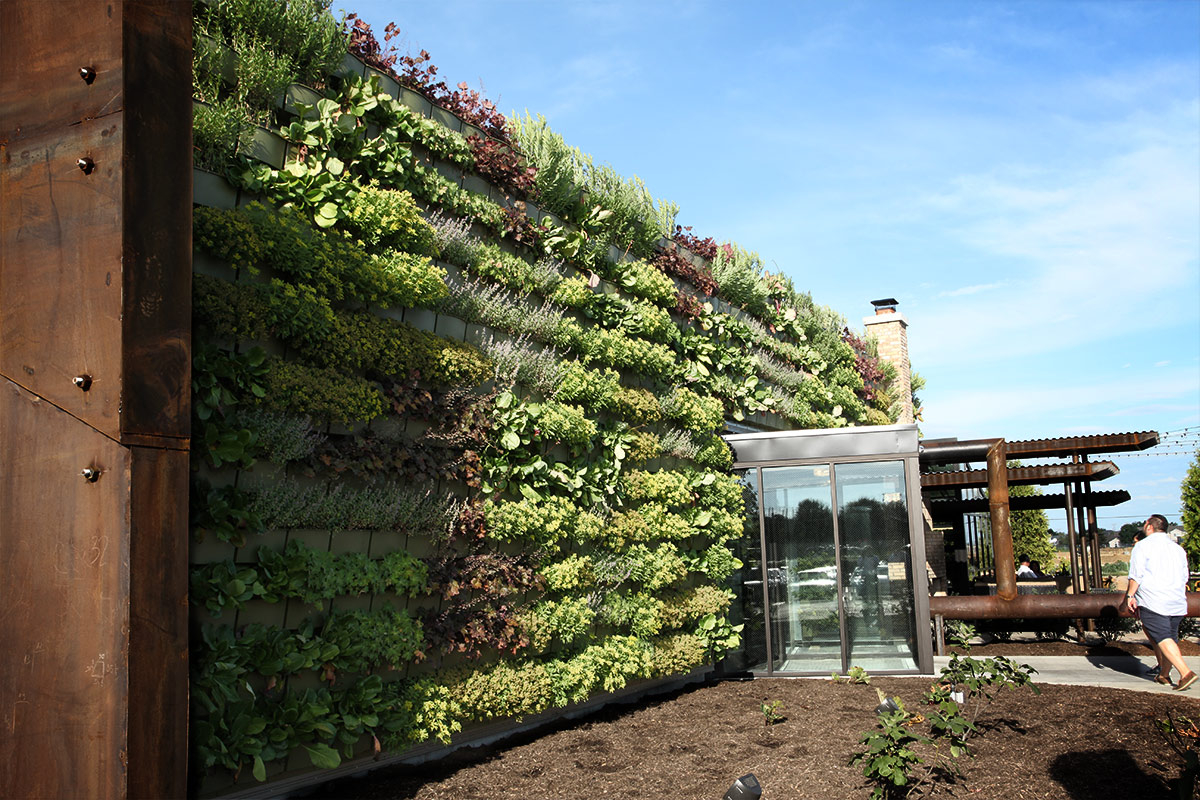 How To Build An Outdoor Living Wall At Amy Beasley Blog for Outdoor Flower Wall Design
