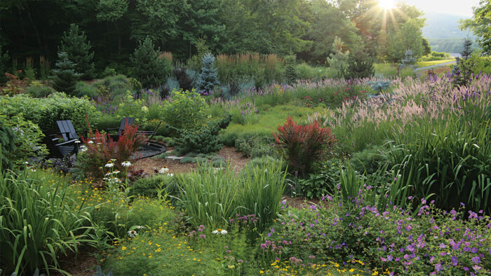 Creating a Low Maintenance Sky Meadow That Thrives All Year Long
