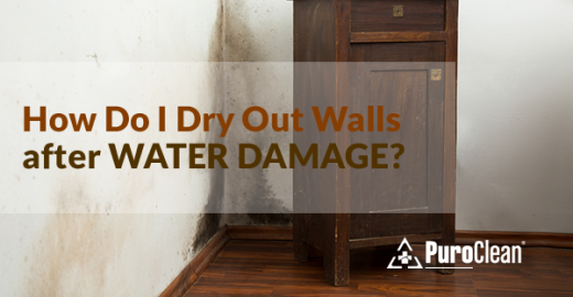 When to Let Walls Dry Out Instead of Sealing Them Tight in 2026