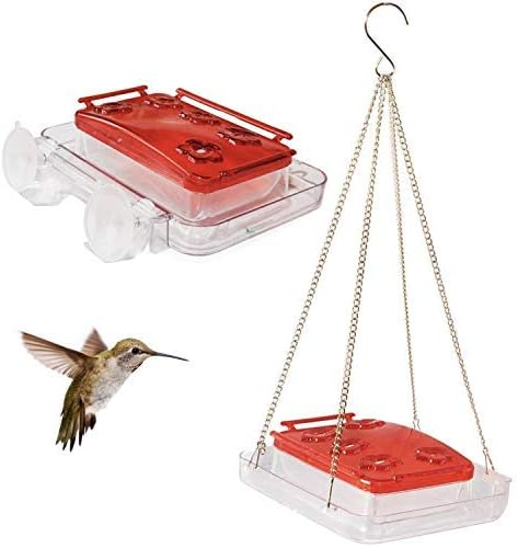Hummingbird Feeder: Complete Guide + Best Options In 2024 with regard to Outdoor Hummingbird Garden Design