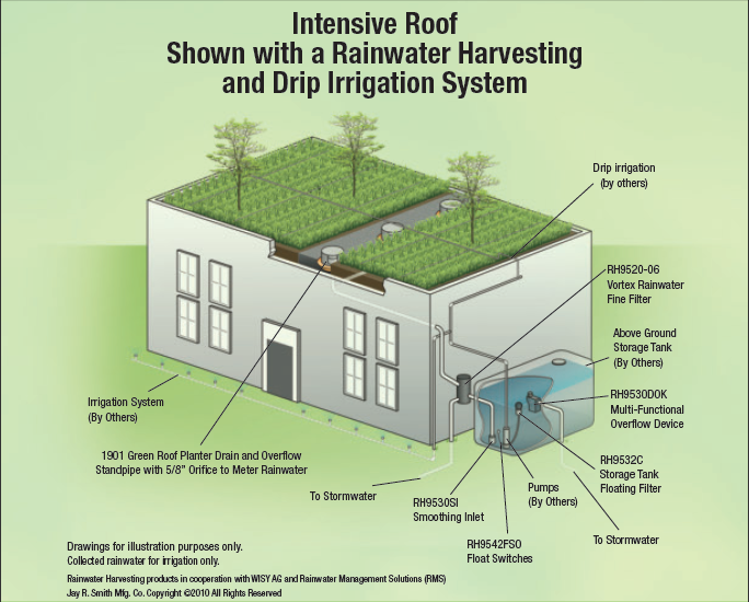 Intensive Roof | Green Roof, Green Roof System, Roofing Systems with Green Roof Design