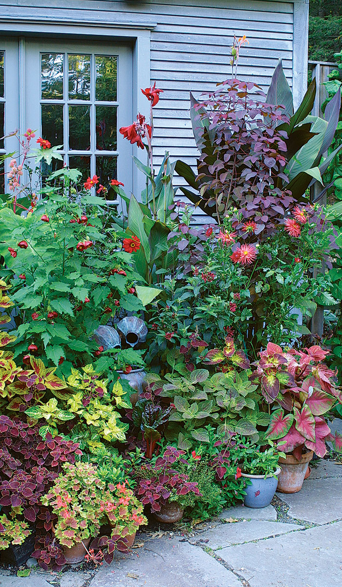 Layering Plants In Pots pertaining to The Art of Layering Plants for Stunning Container Gardens on Small Patios