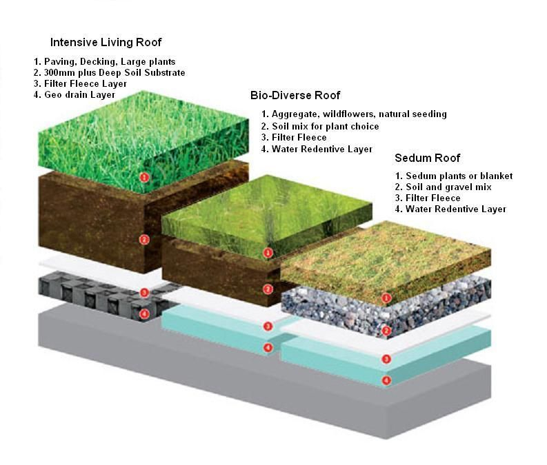 Material For Living Roof At Brock Kyte Blog with regard to Outdoor Green Roof Design