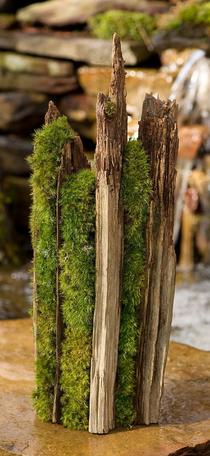 Moss And Wood In A Serene Garden for Outdoor Moss Wall Design