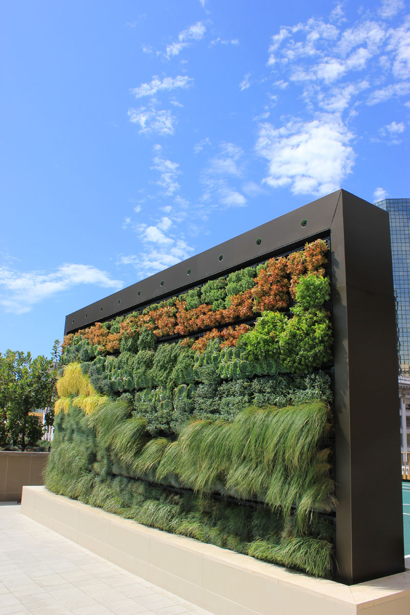 Outdoor Living Wall Detail Lifelike Artificial Green Walls For Any throughout The Real Cost of Installing a Living Wall in Your Backyard This Year