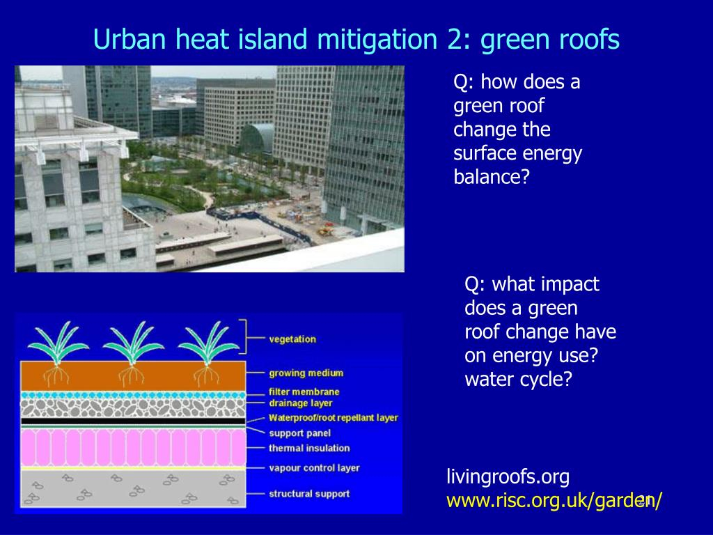 The Science Behind Moss Roof Insulation and Urban Heat Island Mitigation