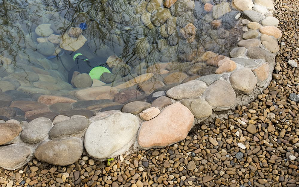 Rock Landscaping Ideas That Increase Curb Appeal | Landscaping With ... pertaining to Outdoor Xeriscape Design