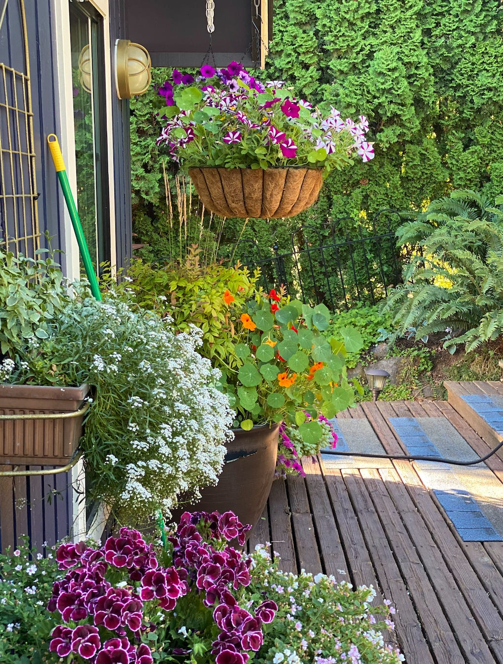 Shipping Container Garden Ideas At Luca Glossop Blog with Why Container Gardens Are the Heart of Modern Outdoor Living in 2026