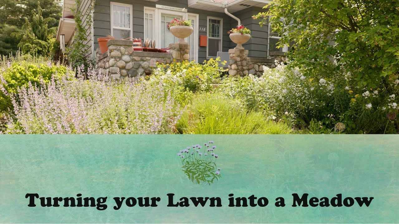 Turning Your Lawn Into A Meadow | Let's Grow Stuff - Youtube pertaining to Outdoor Meadow Roof Design