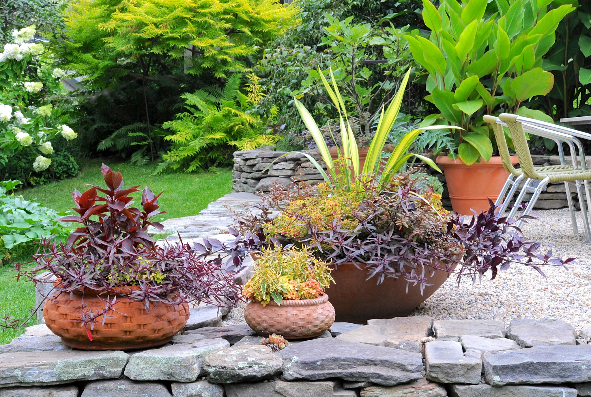 The Art of Layering Plants for Stunning Container Gardens on Small Patios