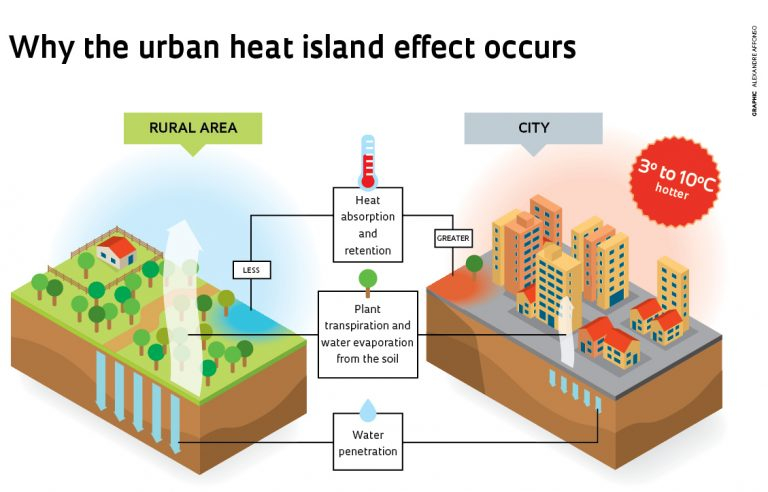 Urban Heat Island Mitigation throughout The Science Behind Moss Roof Insulation and Urban Heat Island Mitigation