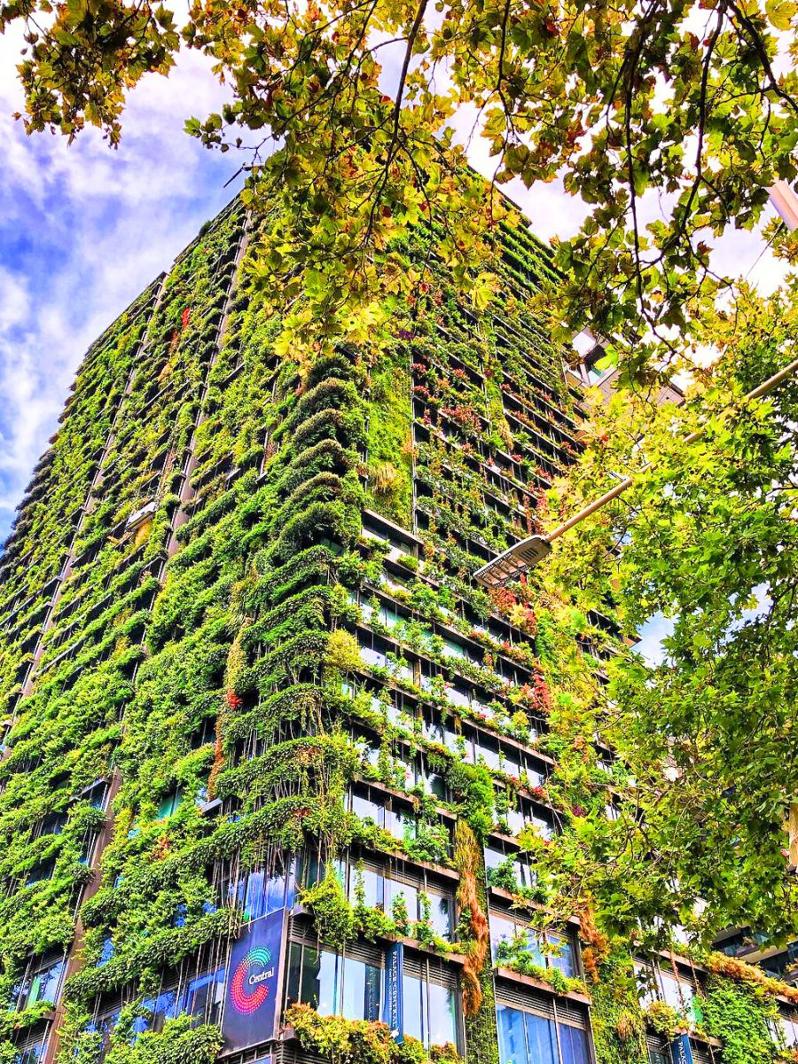 Vertical Gardens Biotecture for The hidden costs of vertical gardens and how to budget for them in 2026