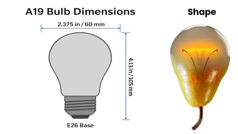 What Is An A19 Bulb? Everything You Need To Know pertaining to How thermal management defines the lifespan of modern LED A19 bulbs