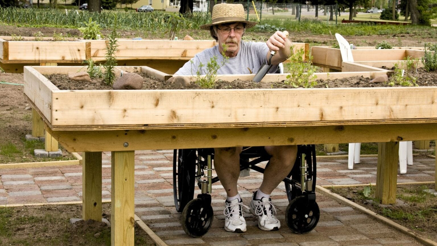 Wheelchair Accessible Garden Design Using Raised Beds intended for Outdoor Raised Bed Design