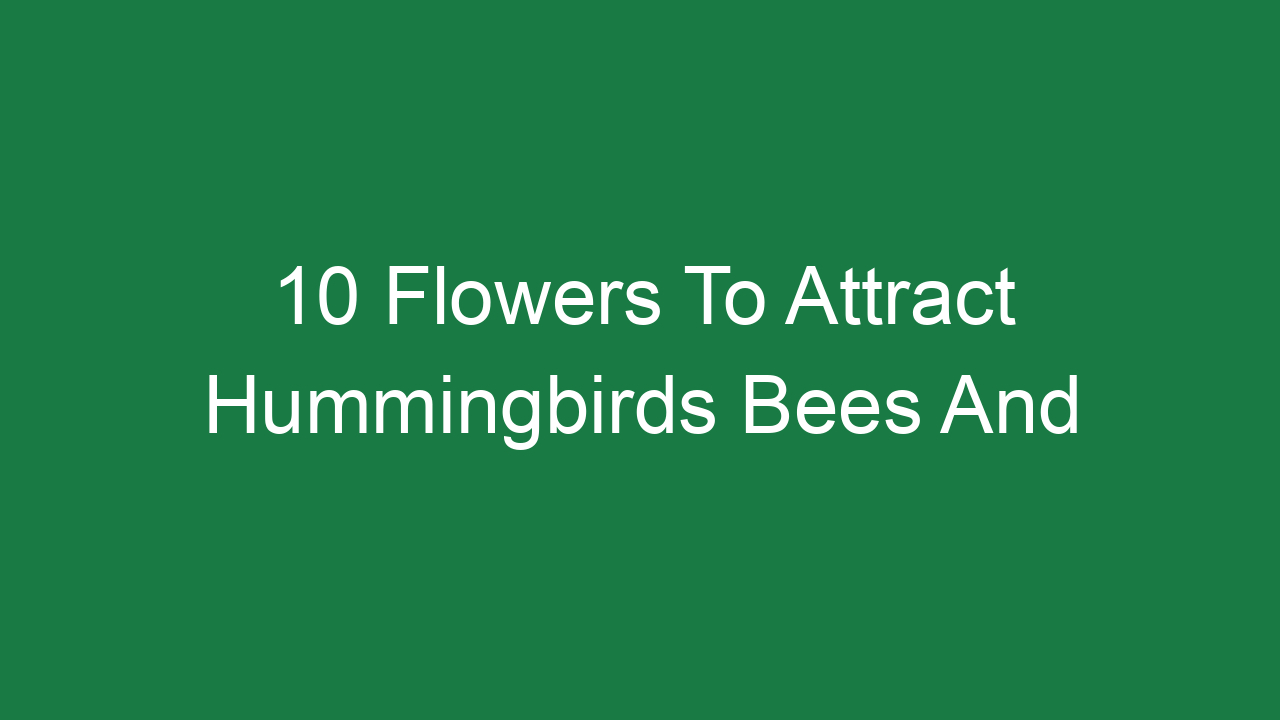 10 Flowers To Attract Hummingbirds Bees And Butterflies – Plantbeacon.com inside Outdoor Pollinator Garden Design