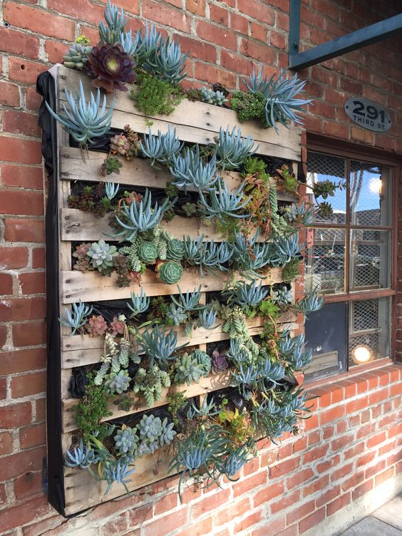 11 Secret Succulent Garden Ideas For Small Spaces - Gotinyspace throughout Outdoor Succulent Wall Design