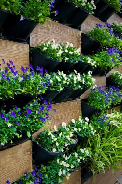 Why Most Outdoor Vertical Gardens Fail and How to Avoid Common Mistakes