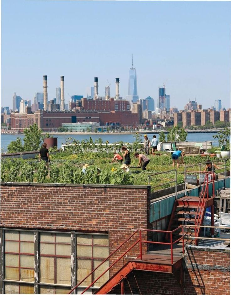 Amazing | Rooftop Garden Urban, Eco City, Rooftop Garden pertaining to Transforming Urban Spaces with Colorful and Resilient Rooftop Succulent Gardens