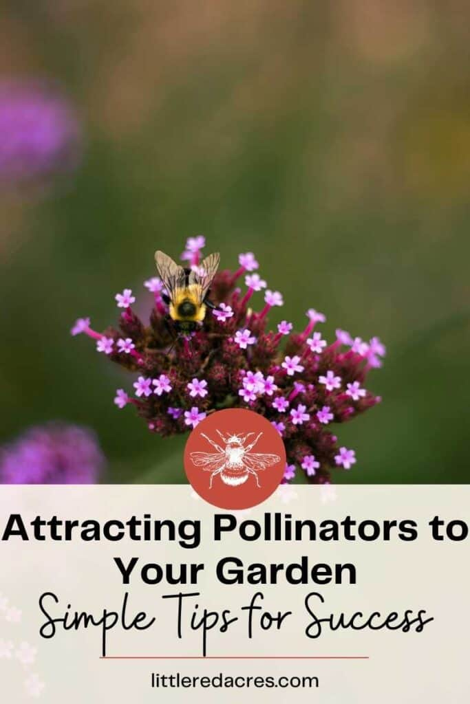 Attracting Pollinators To Your Garden: Simple Tips For Success in Outdoor Butterfly Garden Design