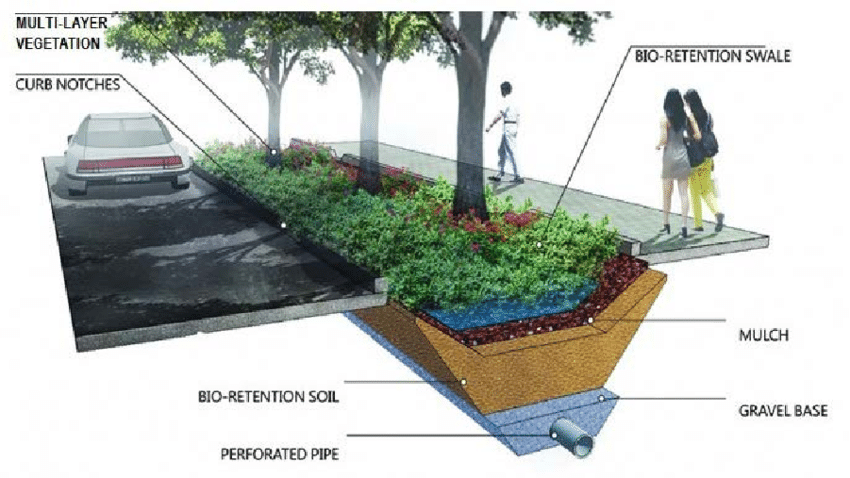 Bio Swale Detail | Sustainable Landscaping, Rain Garden, Stormwater pertaining to Bioswale Design