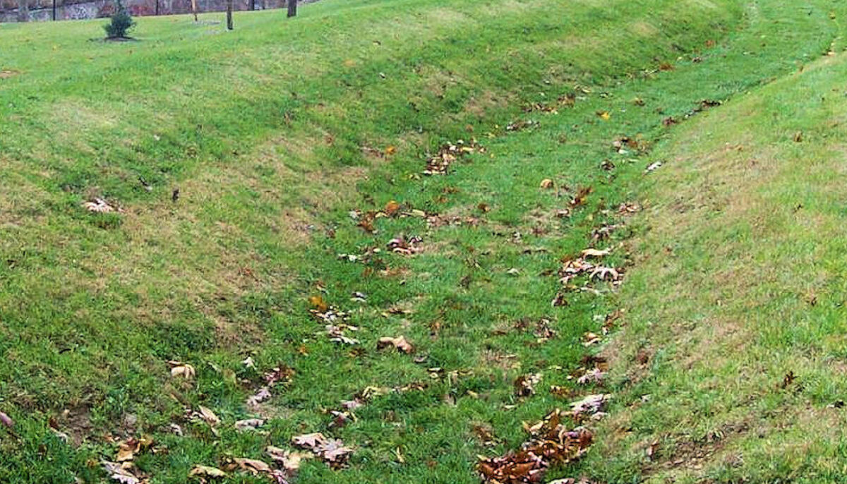 Bioswale Stormwater Management | Naturescape Rainscaping pertaining to Bioswale Design